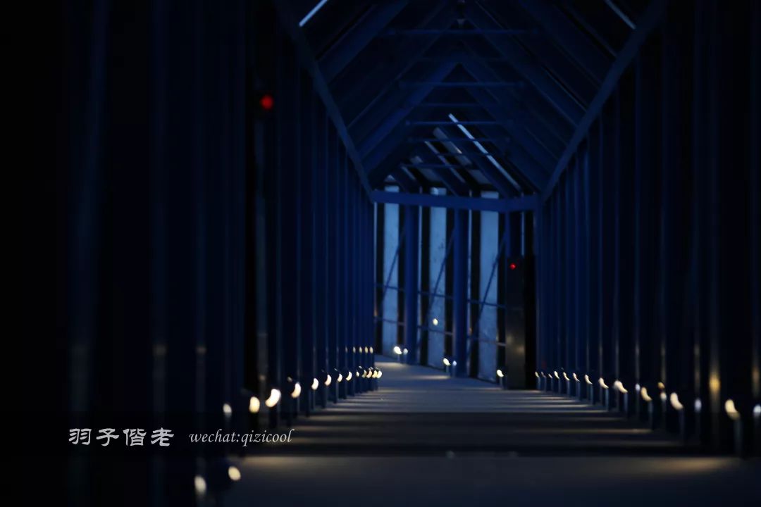 老实说,这一趟北海道就是为了拍好看的照片去的