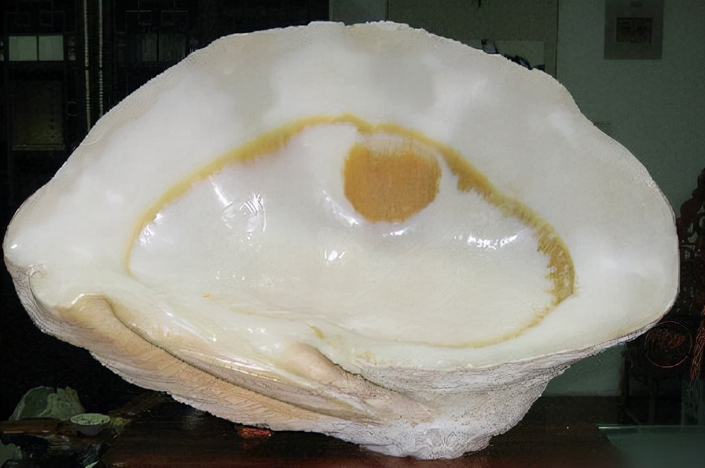 越南芽庄旅行攻略 (越南芽庄旅行日记第五天)