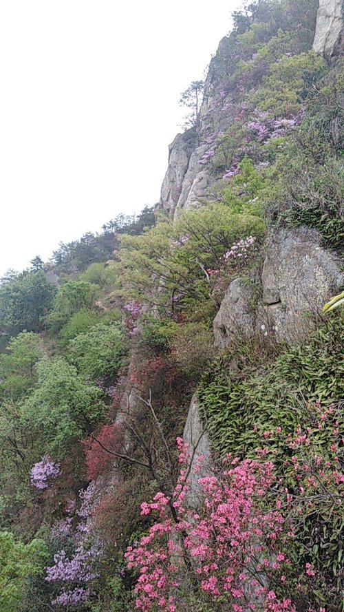 英山山尖,英山特色风景区