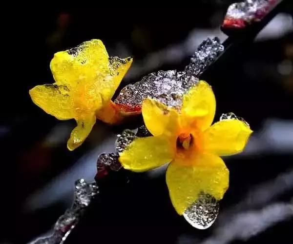 国际乡村旅游经验,台湾乡村旅游有什么值得借鉴的