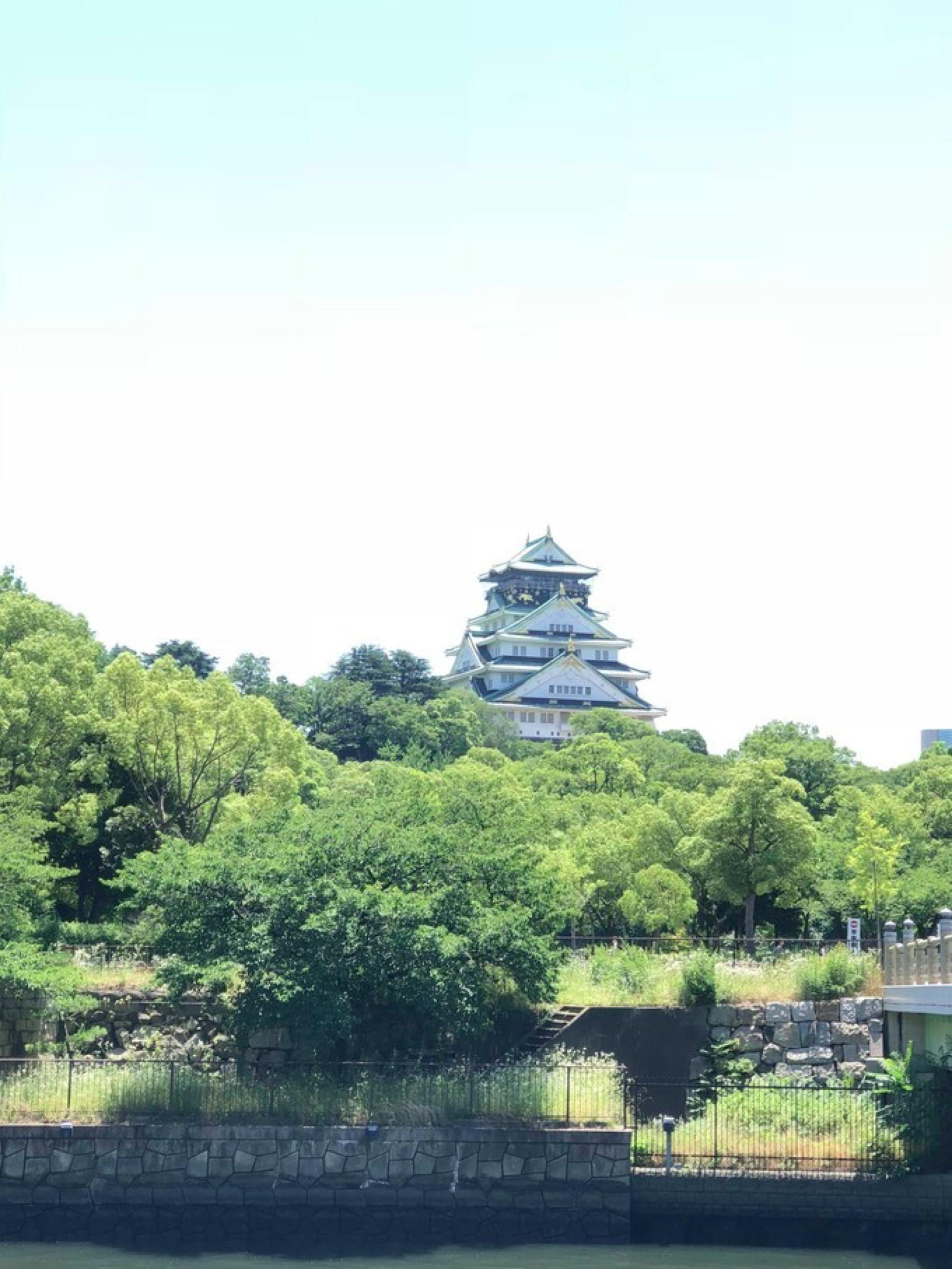 去大阪买什么交通卡好,大阪周游卡日本大阪哪里购买