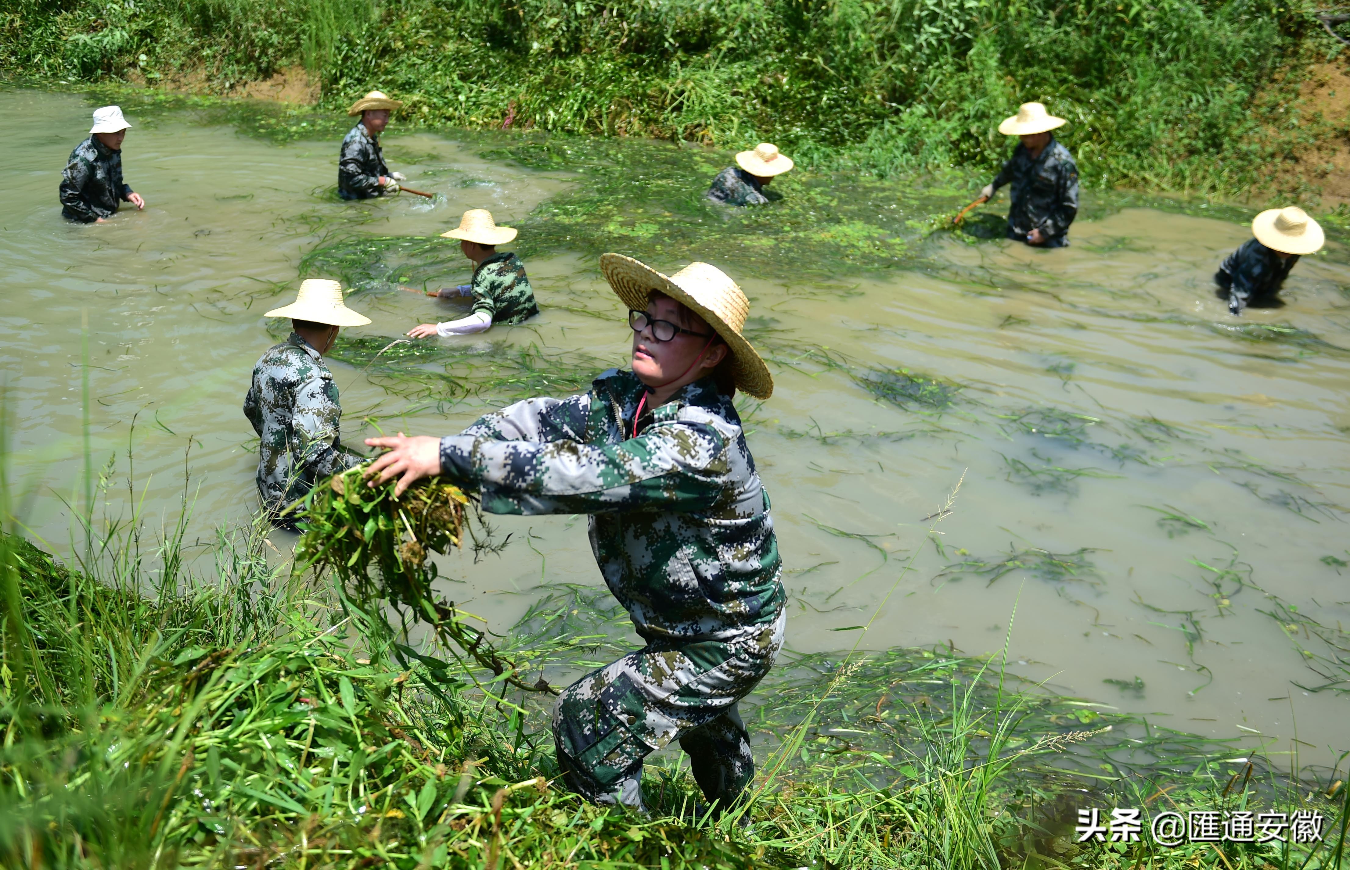 小蜀山支渠50多人盛夏打捞水草保障3万亩庄稼灌溉