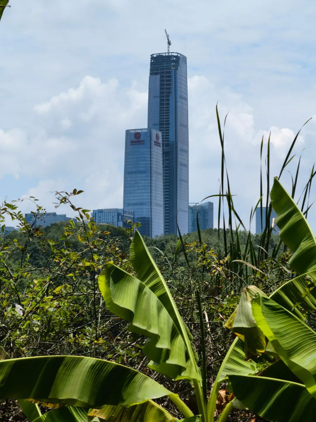 华为p50e上手体验,华为p50手机性能及价格