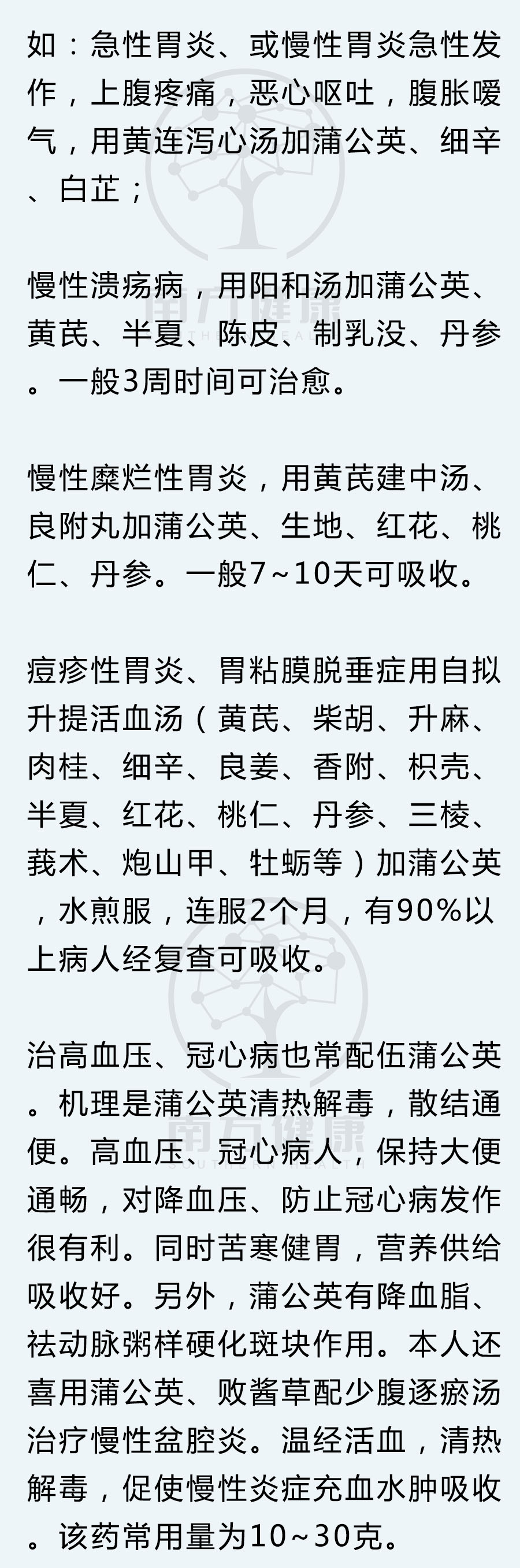 蒲公英怎么处理可入药,蒲公英治什么病最好还可以怎么吃