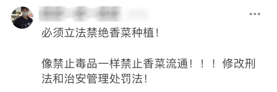 真的不要香菜吗,为什么不要香菜