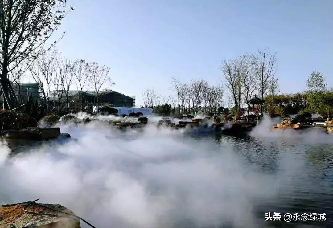 南阳世界月季大观园开幕邀请,南阳月季大观园门票现在免费政策