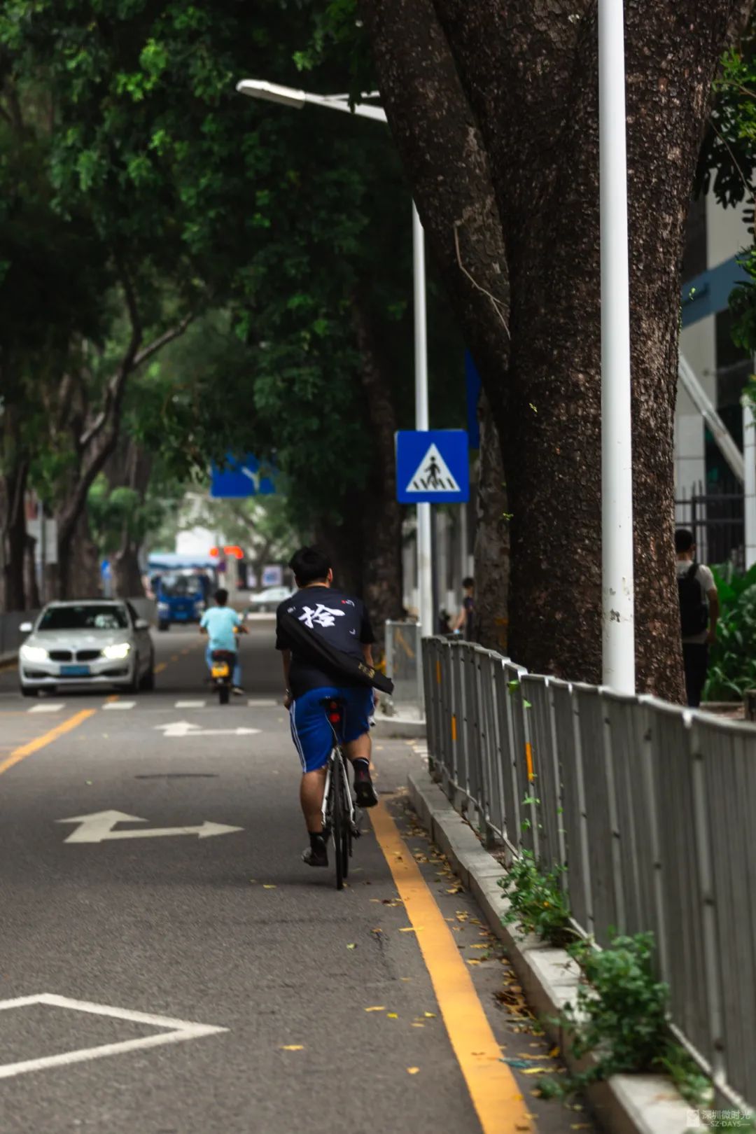 蛇口，一个住下来就不愿意再搬走的地方