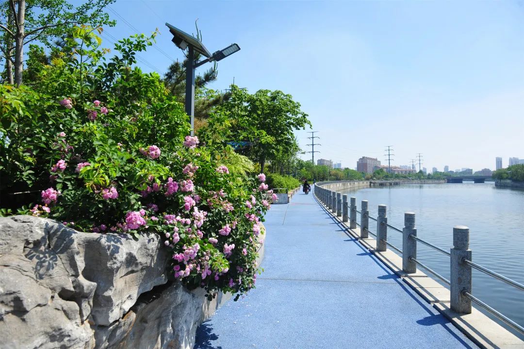 济南必去网红打卡地,济南网红打卡地经三纬三