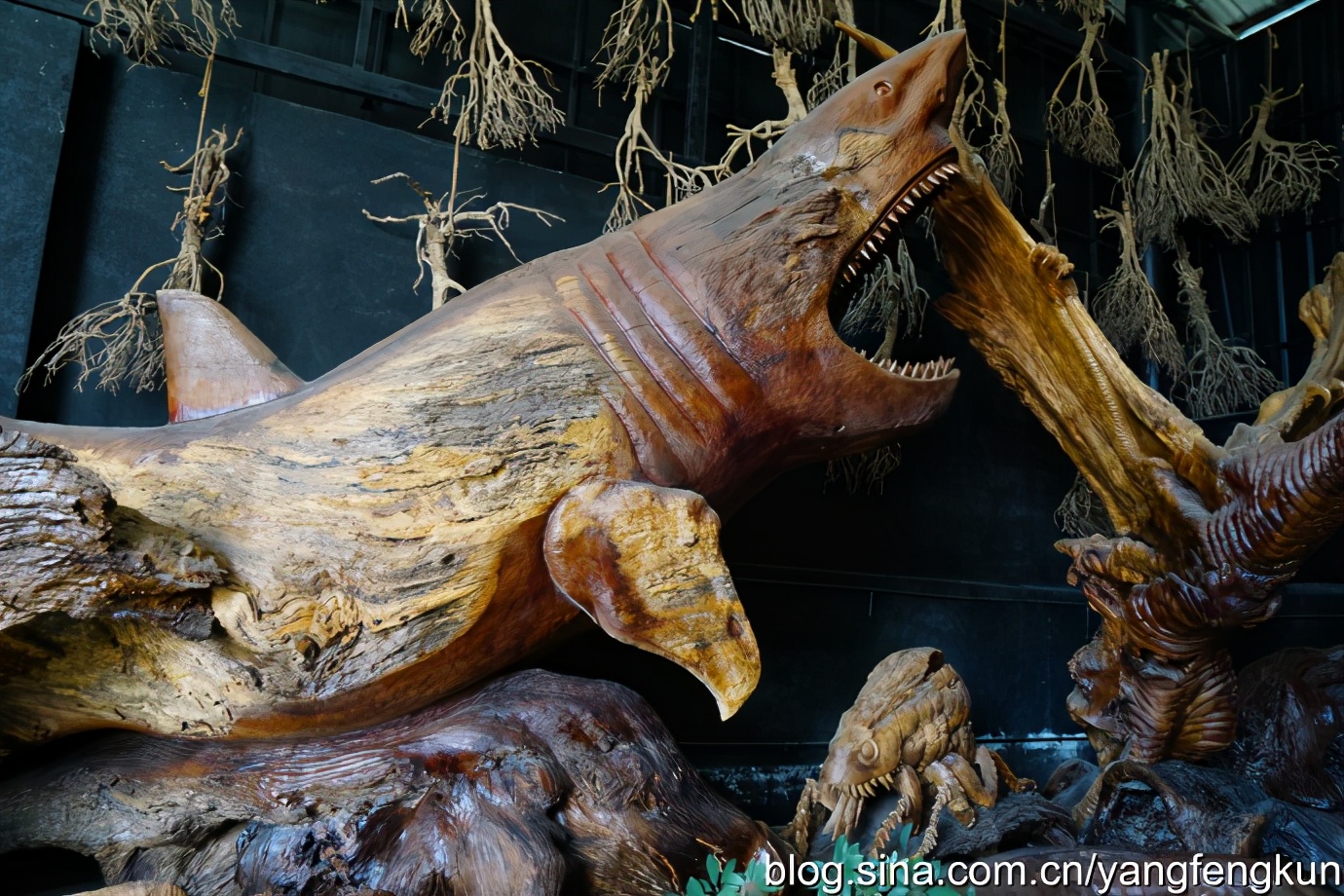 世界上最大的蜗牛介绍,全世界最大的蜗牛