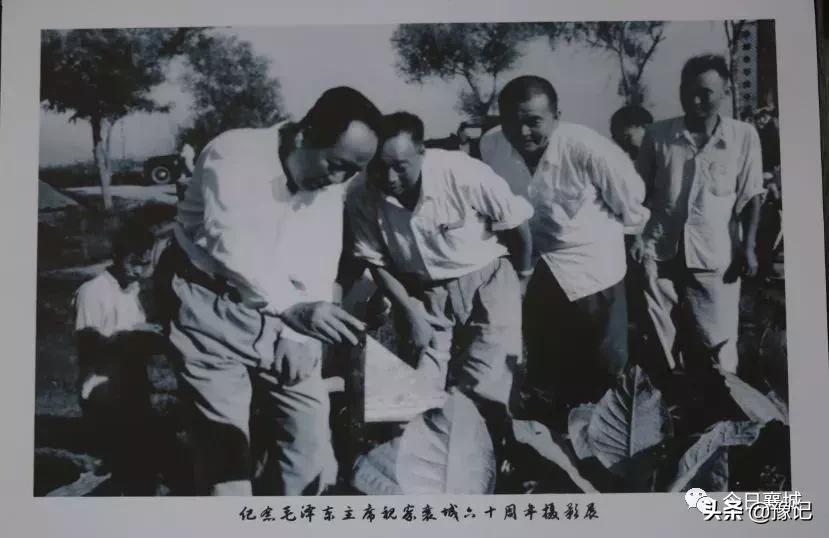 褚时健红塔烟草集团,褚时健中国烟草