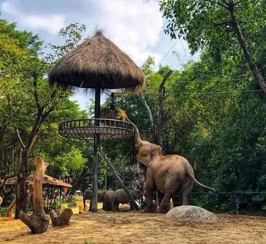 动物园怎么玩的具体介绍,动物园怎么玩更好玩