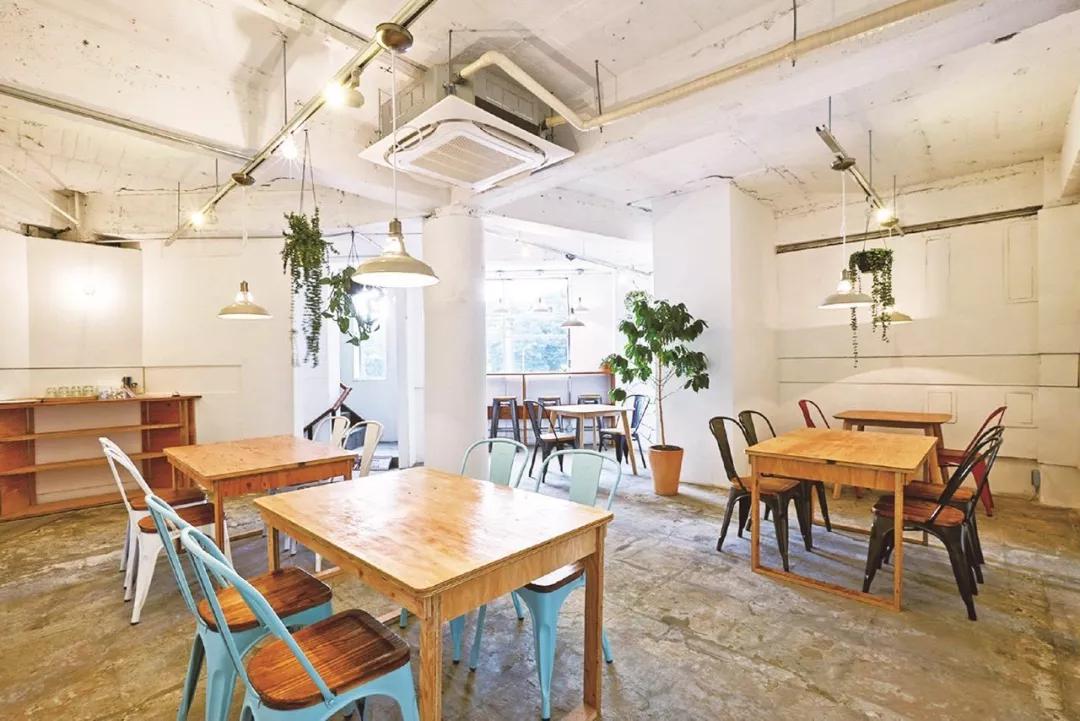 不一样的旅行完整版视频,不一样的旅行全集视频