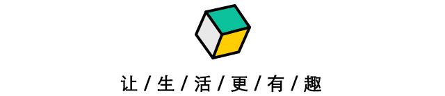 用解数学题的思路盲测郑州本地15款网红欧包