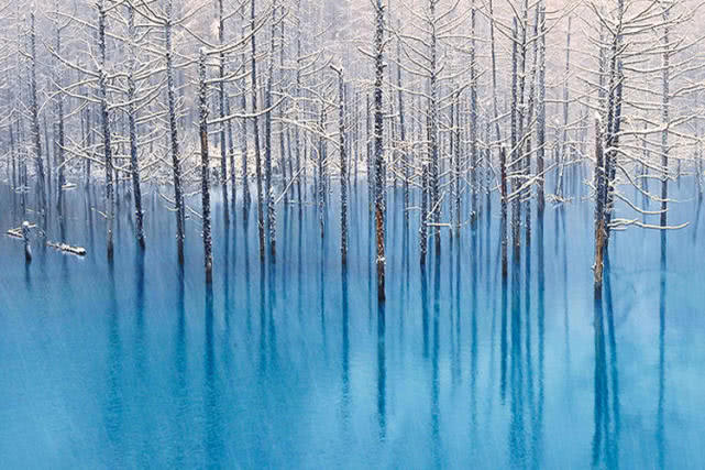 数九寒天从哪天开始数,数九寒天数九是从哪个季节开始的