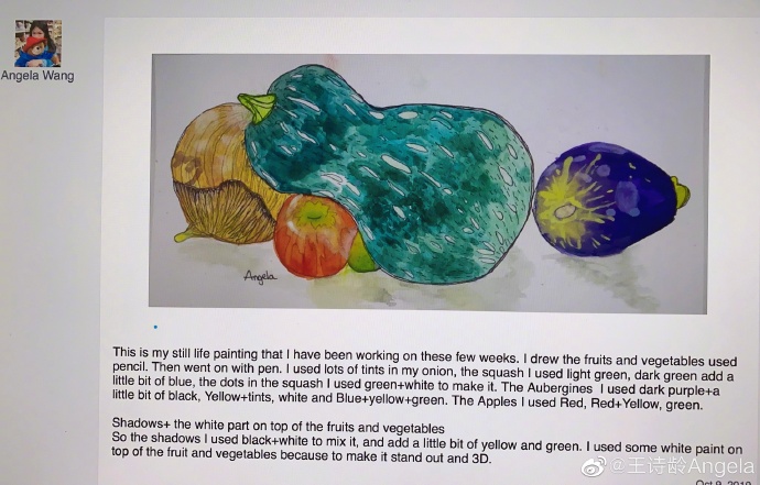 爸爸去哪儿了王诗龄森蝶,爸爸去哪儿了小女孩都有谁