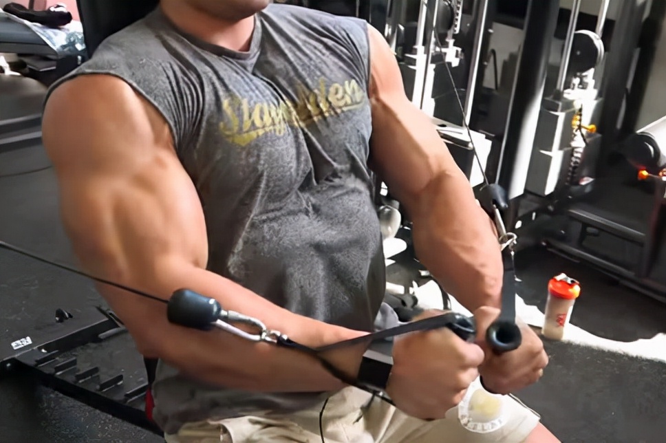 肥胖程度的判断,肥胖的判定的国际标准百分位数