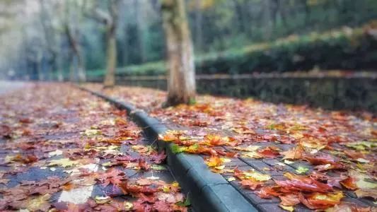 阿秋：治疗中度、重度抑郁症，这里有5条科学的治愈指引