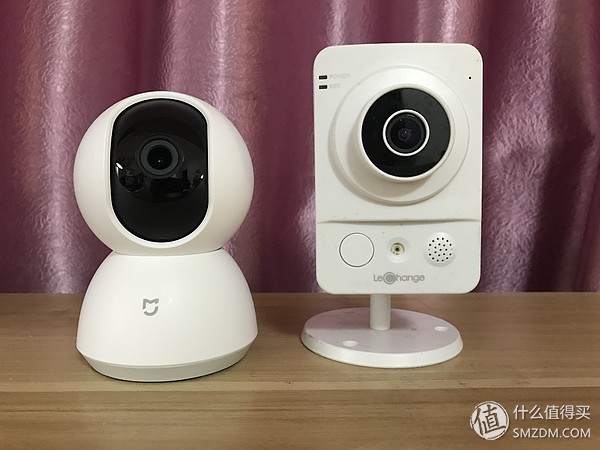 白天不在家猫喂食怎么办,白天不在家猫怎么养