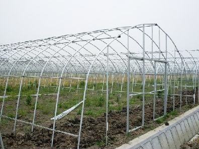 广西钢架大棚造价多少钱一平,三门峡养殖大棚钢架一亩价格