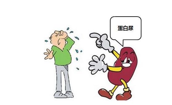 蛋白尿病人饮食主要哪些宜忌,肾功能异常蛋白尿饮食要注意什么