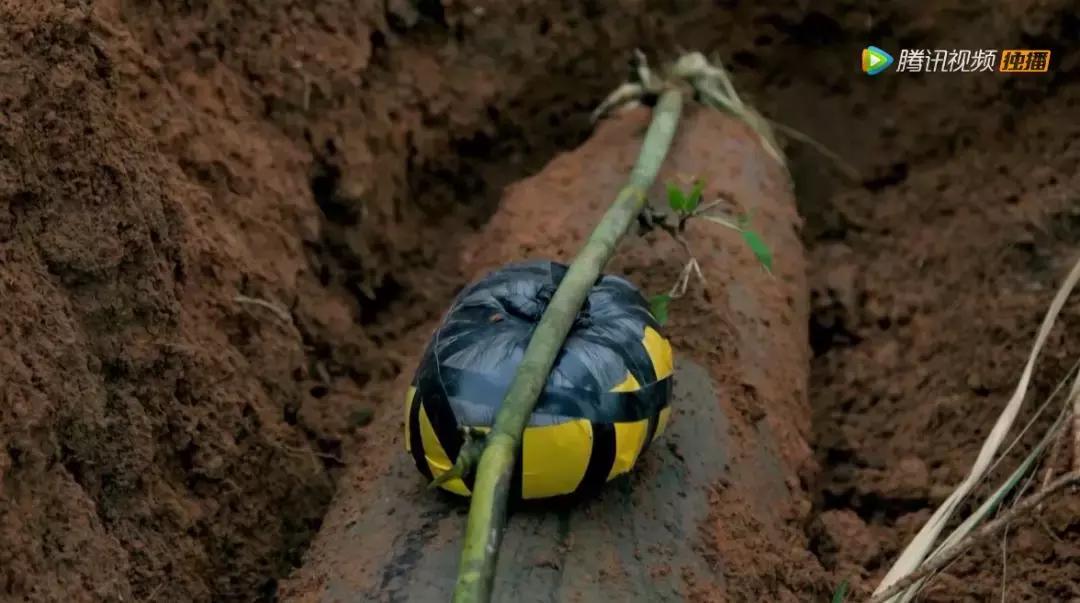 人在逆境要懂得坚持,面对逆境向阳而生