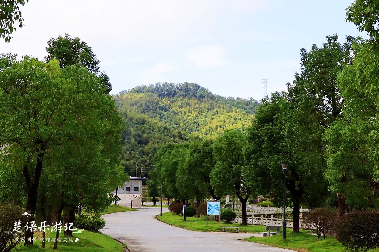 浙江宁波古村图片,浙江宁波有一个古村依山傍水