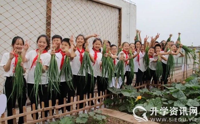 小学心理健康教育教师招聘资料,成都市心理教师招聘