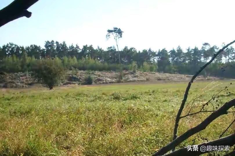 ufo不明飞行物真的存在吗,美国政府承认ufo存在吗