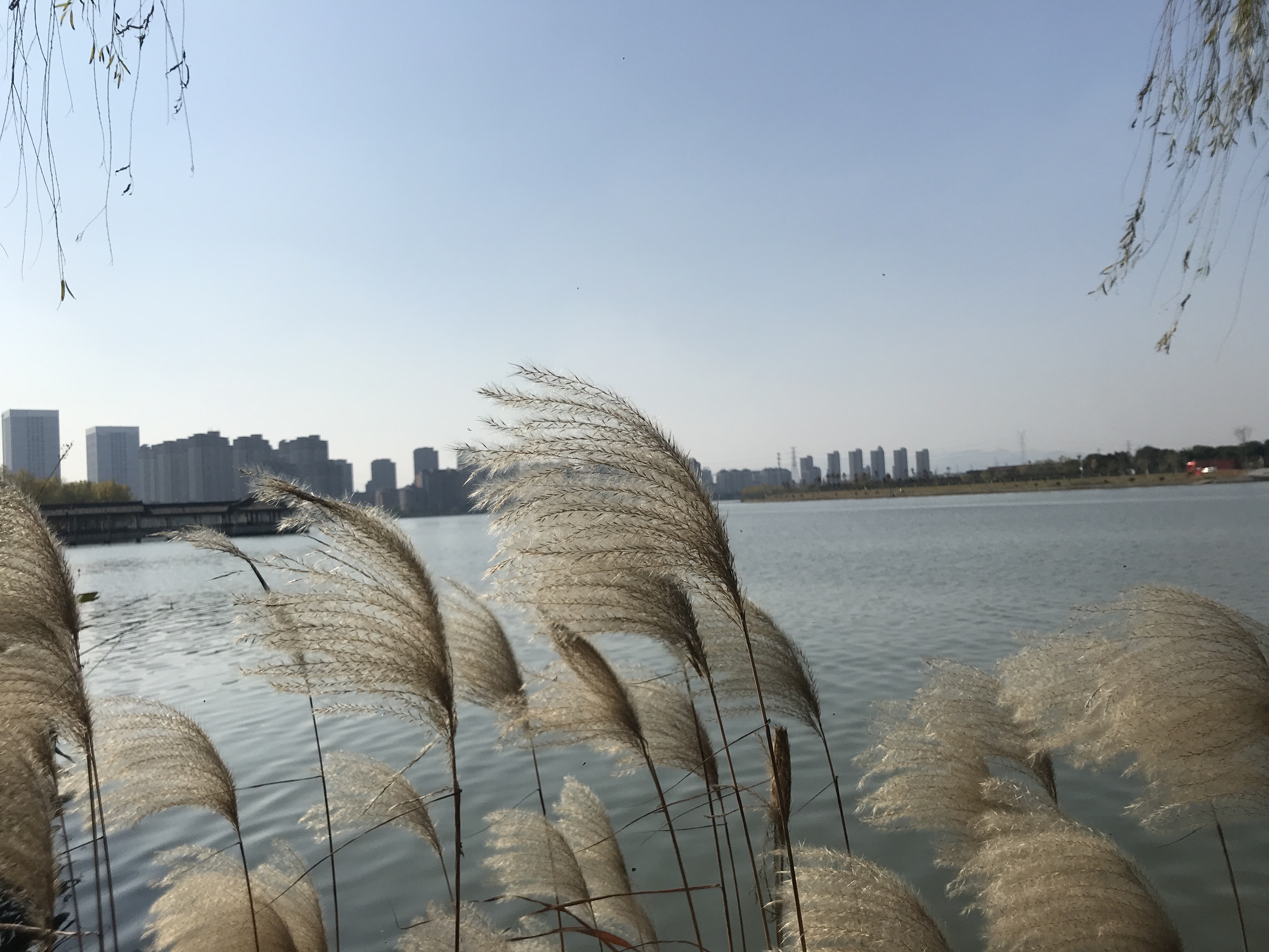 宁波梁祝公园视频,宁波梁祝文化公园