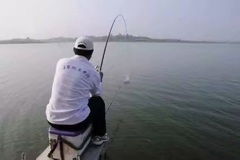 晚春下雨钓鲤鱼钓深还是钓浅,晚春水库钓鲤鱼最佳位置图