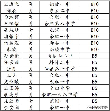 深度揭秘19年北京大学博雅计划安徽入选数据：两所高中遥遥领先
