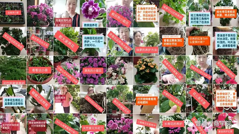 快手养花怎么赚钱啊,快手怎么养花赚钱