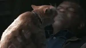 来了!我们的第3本科幻选集《猫不存在》