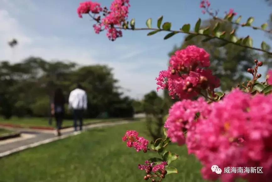 威海南海家园,威海南海新区最具幸福感城市