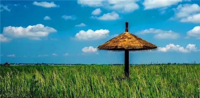 渭南大荔哪里好玩的地方,渭南大荔周边环境优美的地方