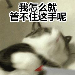 适合学生党的小众店铺,分享几个适合学生党的店铺