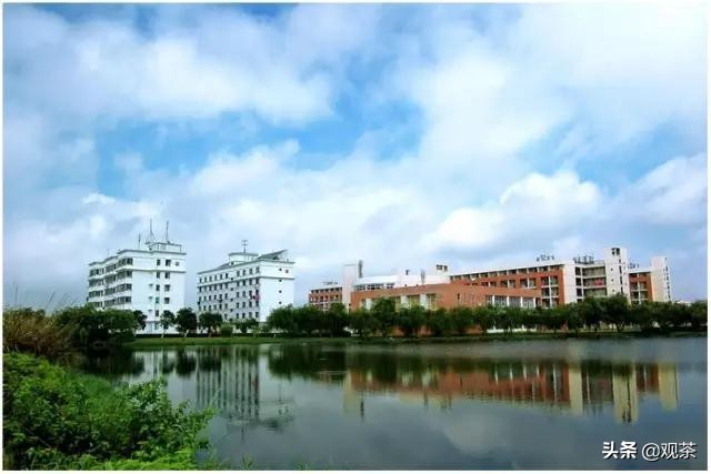 2020年后，为什么选择去珠海（教育篇）