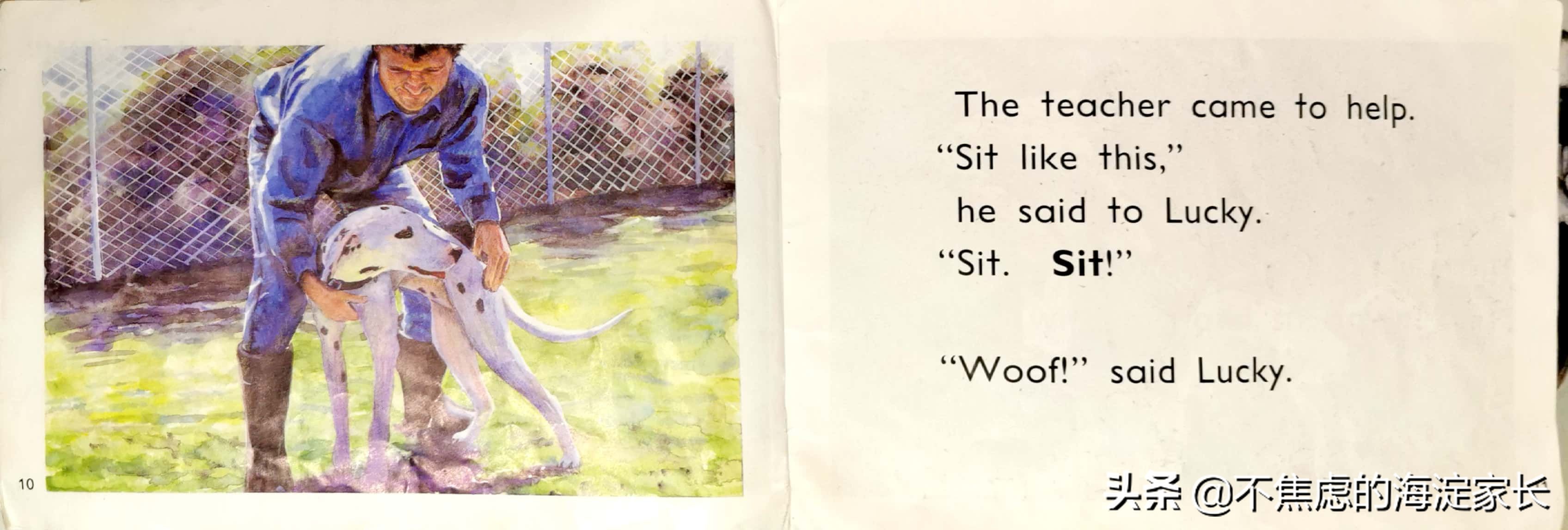 新西兰小学生阅读书单排名,新西兰小学阅读教材每日一本