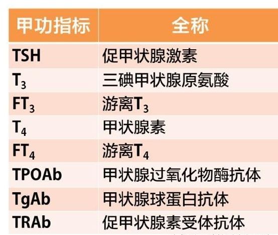 甲状腺抗体是看哪个指标,甲状腺抗体查的啥