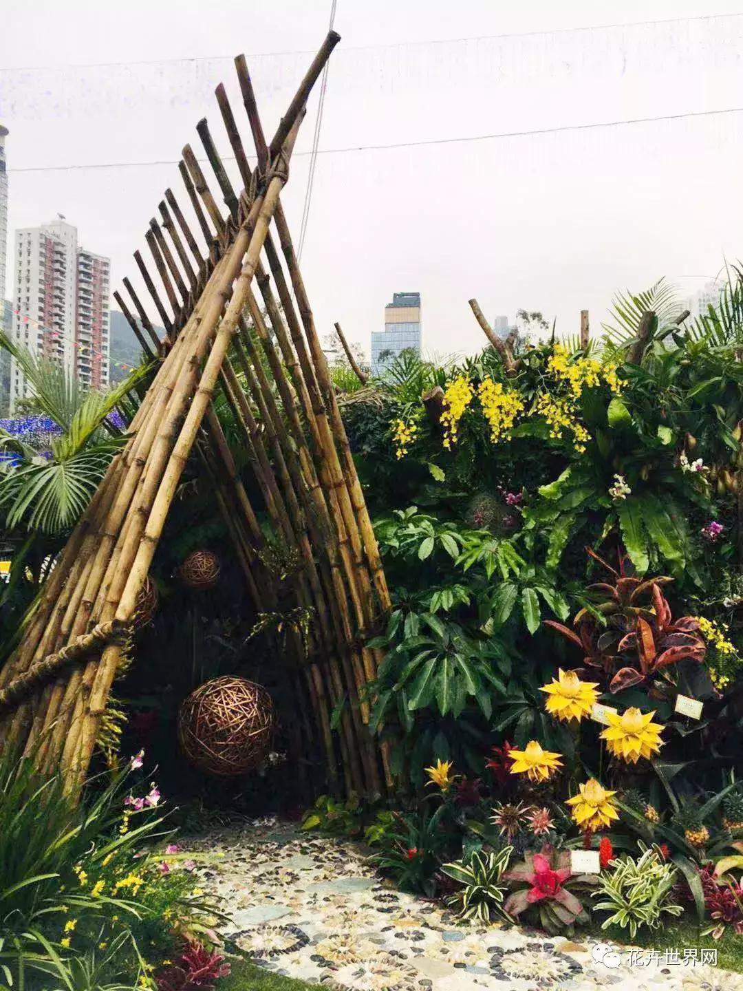 香港花卉艺术展,共赴盛会活动