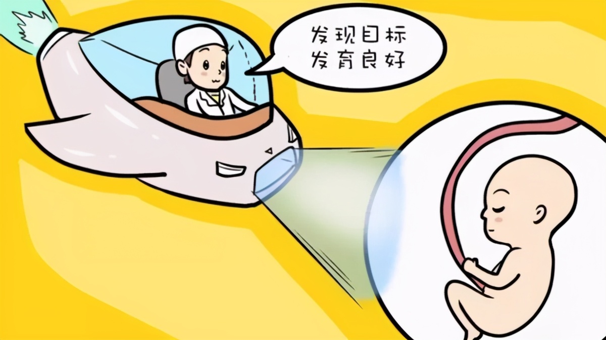 体检仪器大科普,健康体检b超