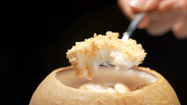 泰国鸡和缅鸡杂交后代,中泰越混血椰子鸡