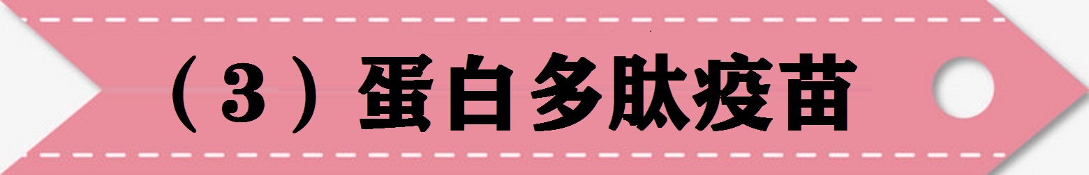 肿瘤免疫治疗的故事连载二十四,肿瘤免疫治疗的故事