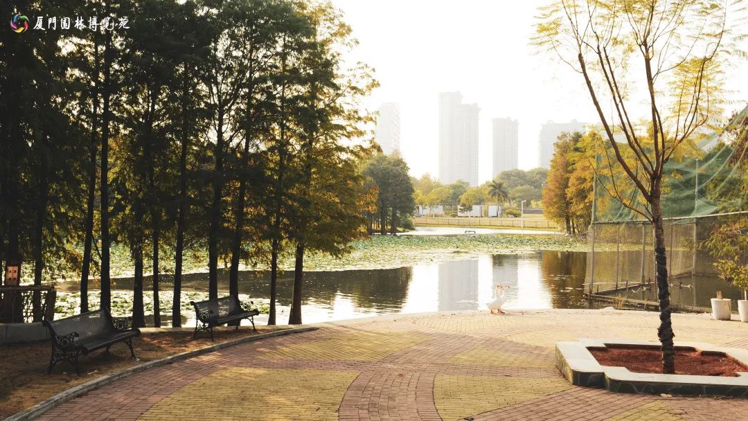 速来!园博苑有让*欲人**罢不能的季相变化之美,还有众多萌物陪伴你~