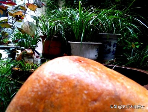 雅石图鉴真品欣赏,中国雅石图鉴大全