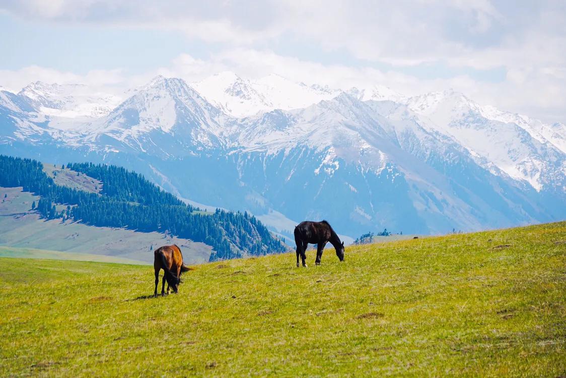 来一场说走就走的大西北之旅,来一场说走就走的旅行相约北京