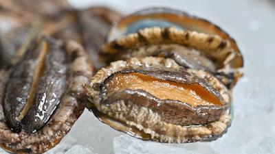 秦皇岛海浪花天桥海鲜批发市场,秦皇岛海浪花批发市场在哪