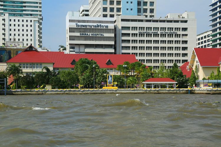 临沂人去日本旅行,临沂人去济南旅游