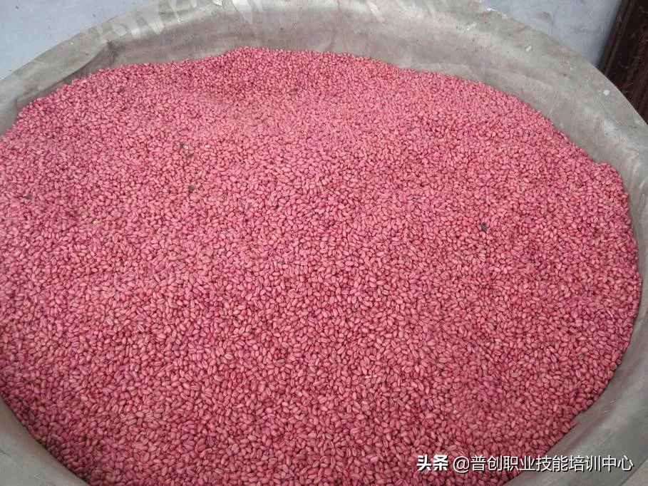 小麦种深了苗黄苗弱怎样补救管理,小麦旺苗冻害怎么补救