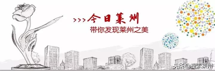 双十一没买省钱吗,双十一没买亏多少